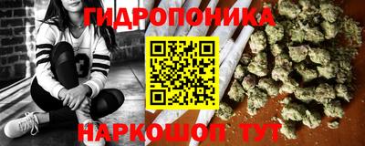 apvp Канаш