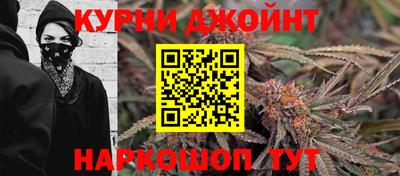 гашик Изобильный