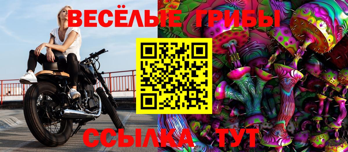 Псилоцибиновые грибы Psilocybine cubensis Магадан