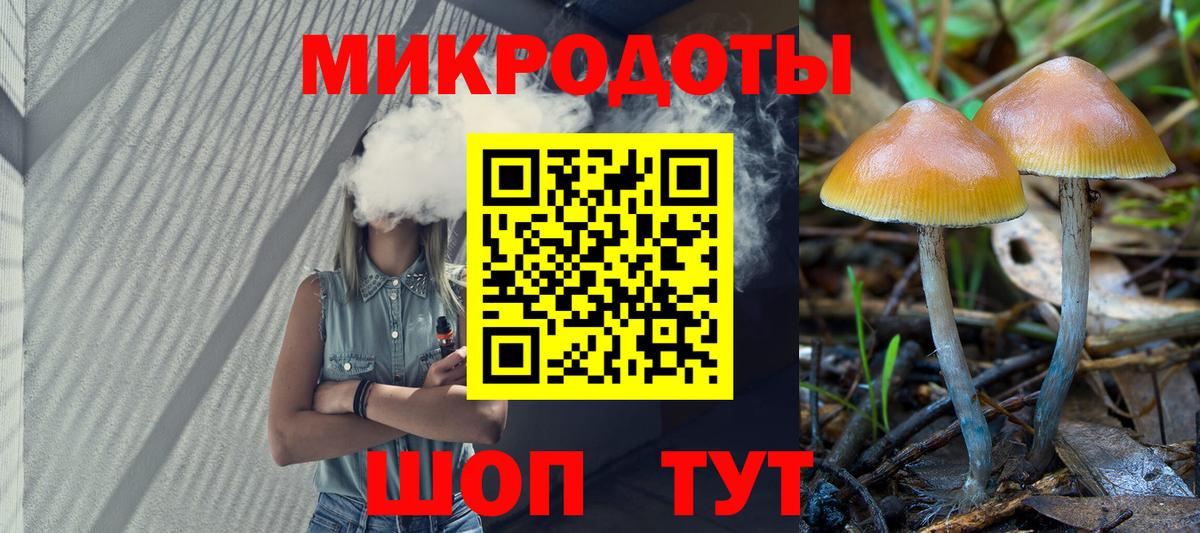 Магадан  Псилоцибиновые грибы мицелий  Вход с VPN 